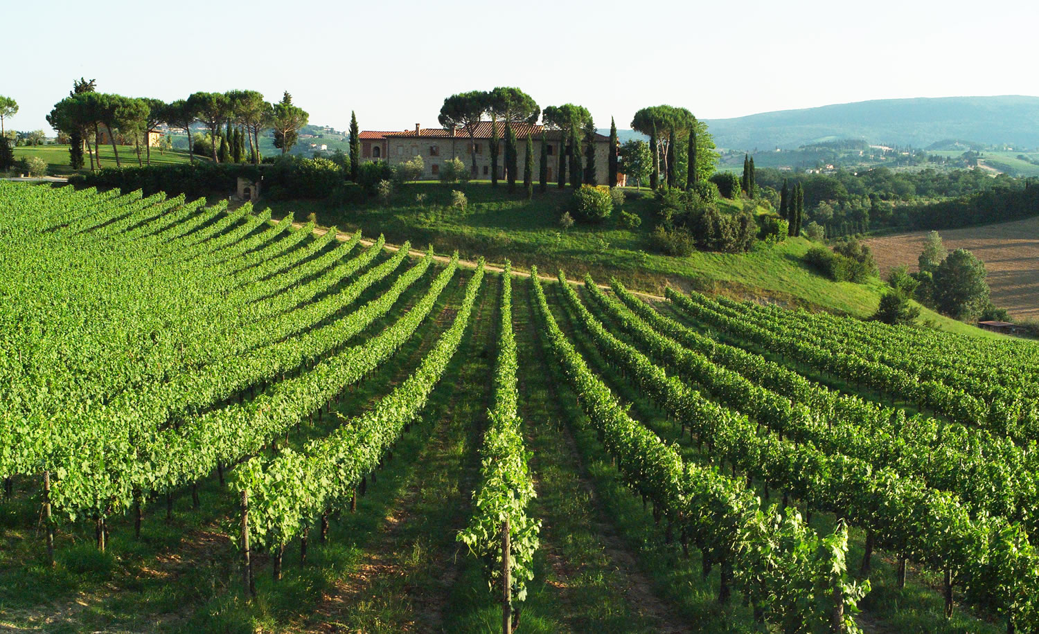 azienda_agricola_ok